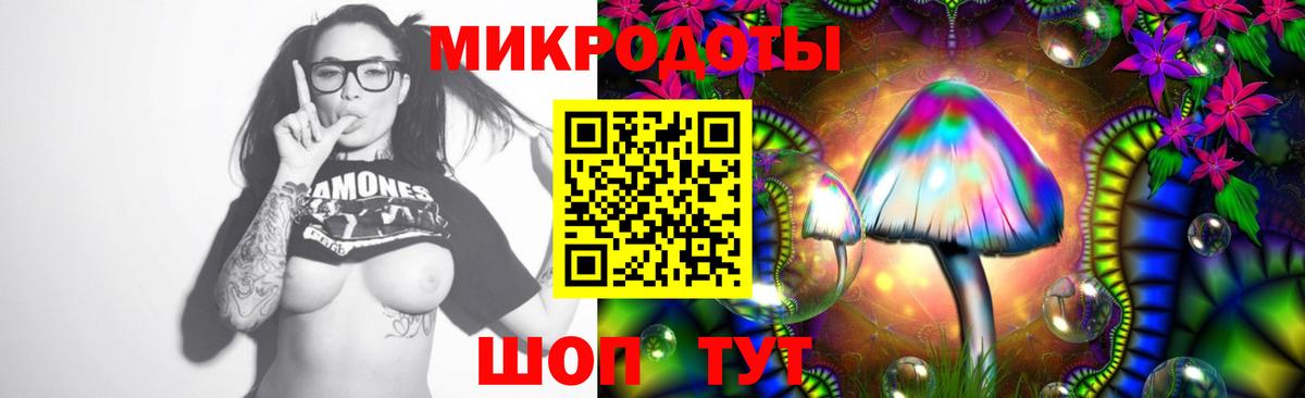 Галлюциногенные грибы Psilocybine cubensis Владивосток